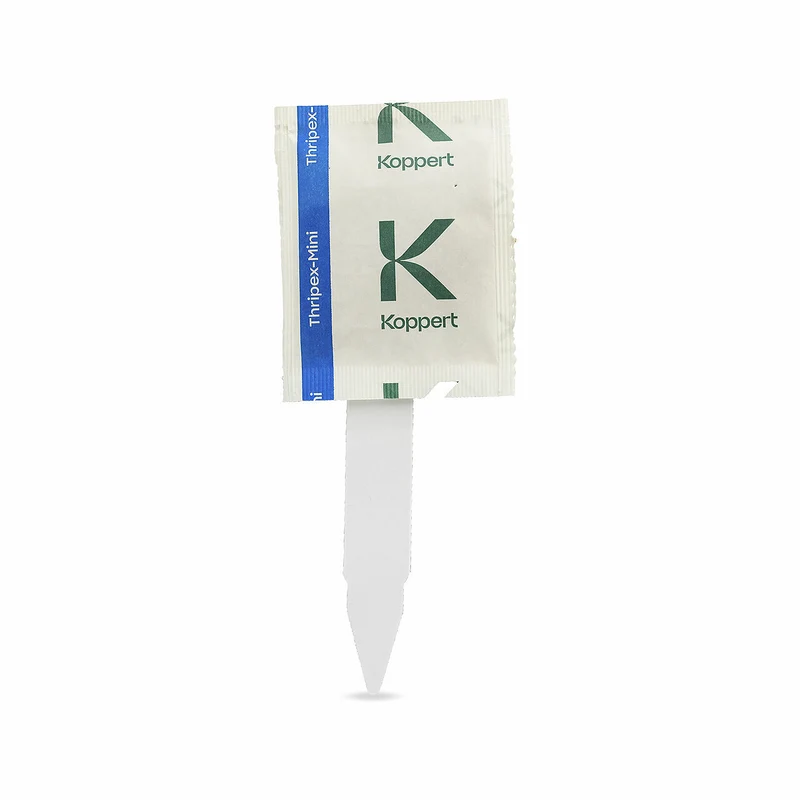 Koppert THRIPEX-MINI — contre thrips