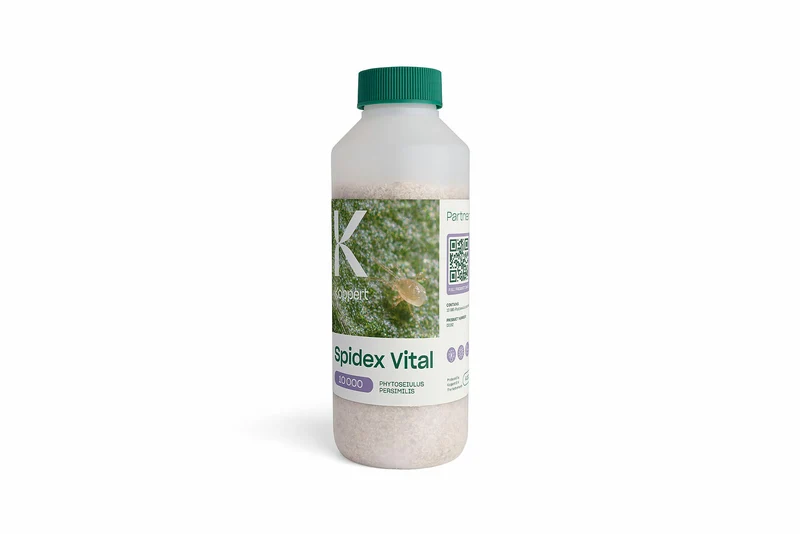 Koppert SPIDEX VITAL — contre tétranyques