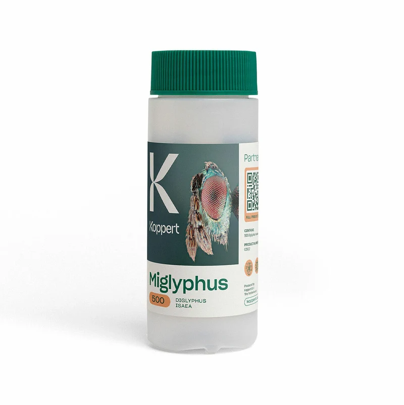 Koppert MIGLYPHUS — contre mineuses