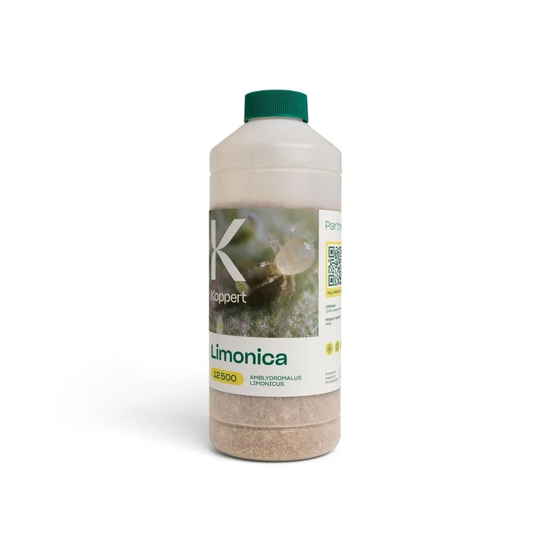 Koppert LIMONICA — contre aleurodes et thrips