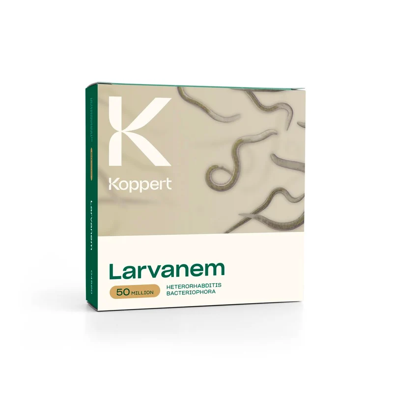 Koppert LARVANEM — contre charançons de la vigne