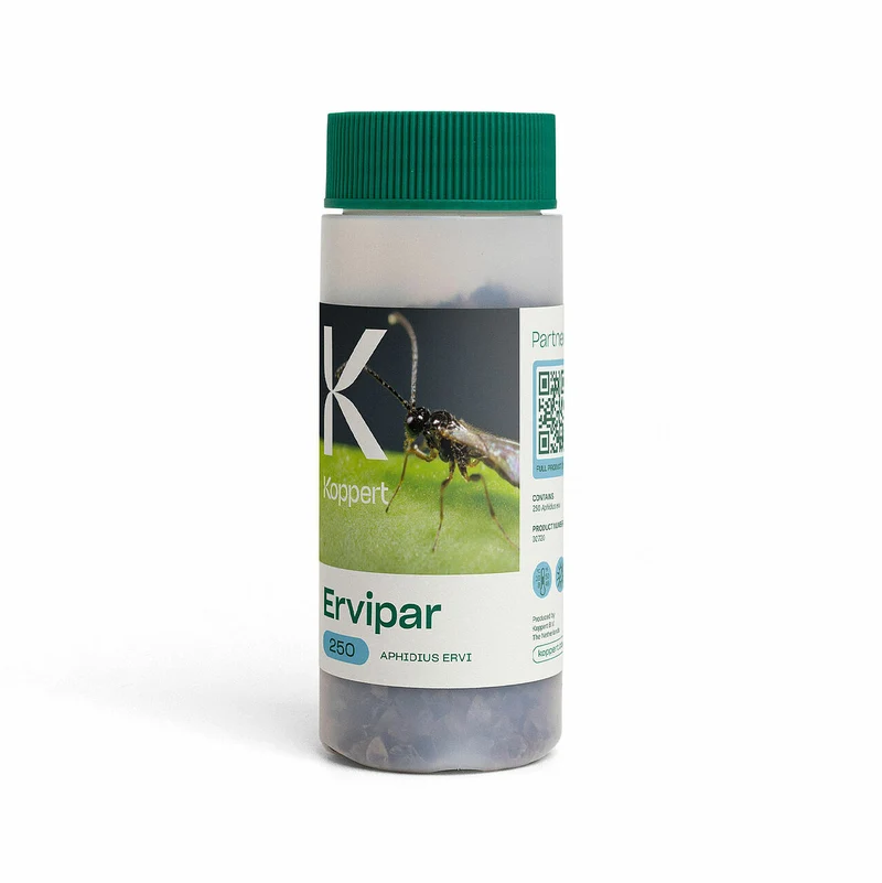 Koppert ERVIPAR — contre pucerons