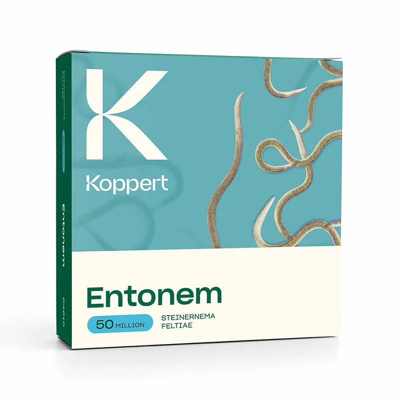 Koppert ENTONEM — contre thrips et moucherons du terreau