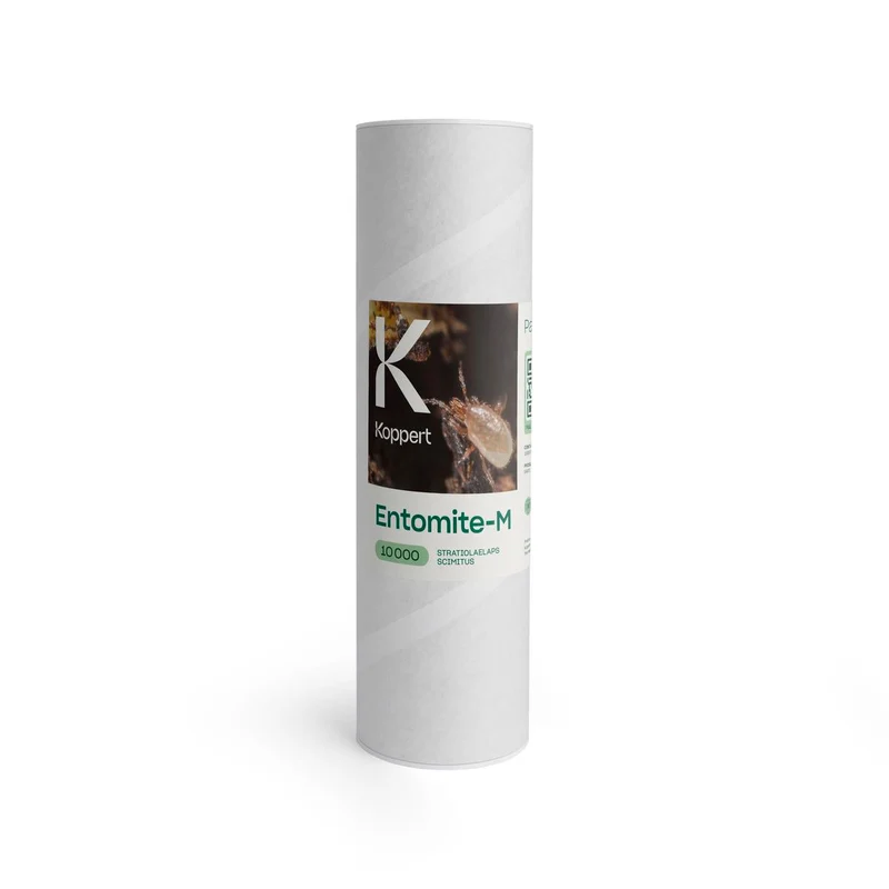 Koppert ENTOMITE-M — contre thrips et moucherons du terreau