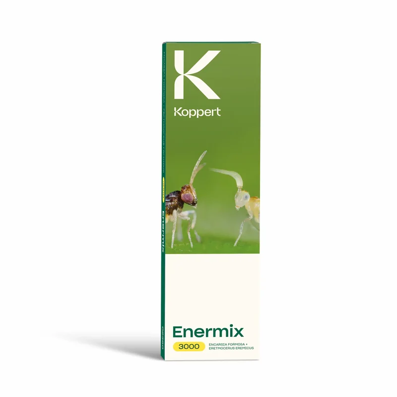 Koppert ENERMIX — contre aleurodes