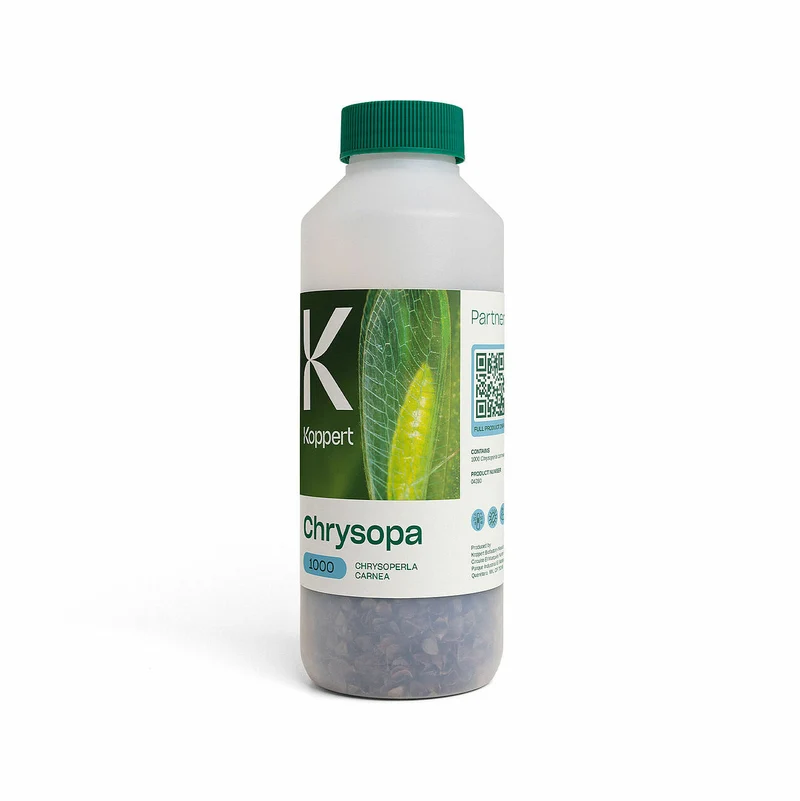 Koppert CHRYSOPA — contre pucerons