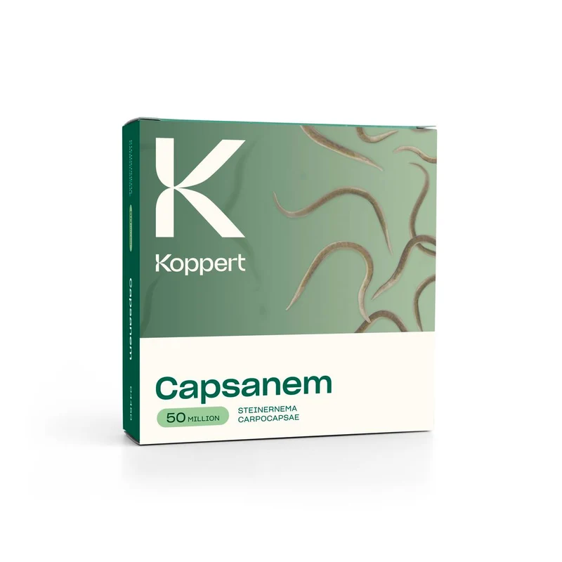Koppert CAPSANEM — contre chenilles