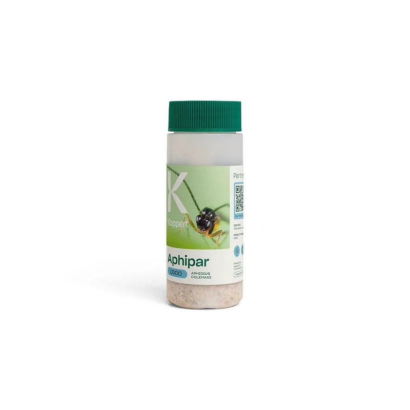Koppert APHIPAR — contre pucerons