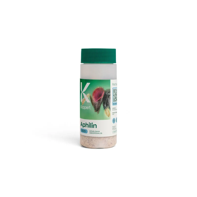 Koppert APHILIN — contre pucerons