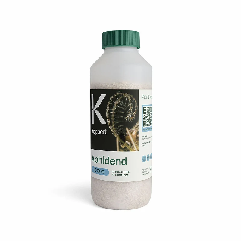 Koppert APHIDEND — contre pucerons