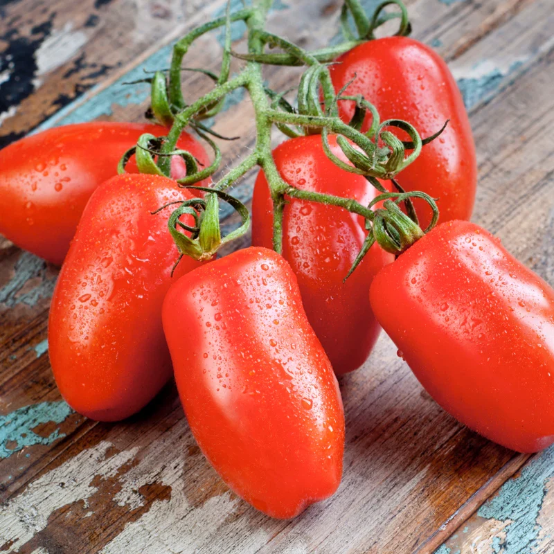 San Marzano Tomato Seeds – Heirloom, Premium Quality for Rich & Flavorful Harvest