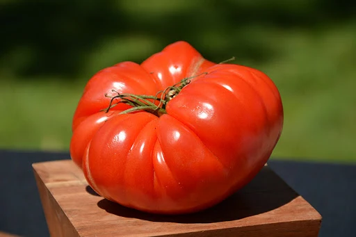 German Johnson Tomato Seeds – Heirloom, Large & Juicy, Ideal for Slicing & Sauces