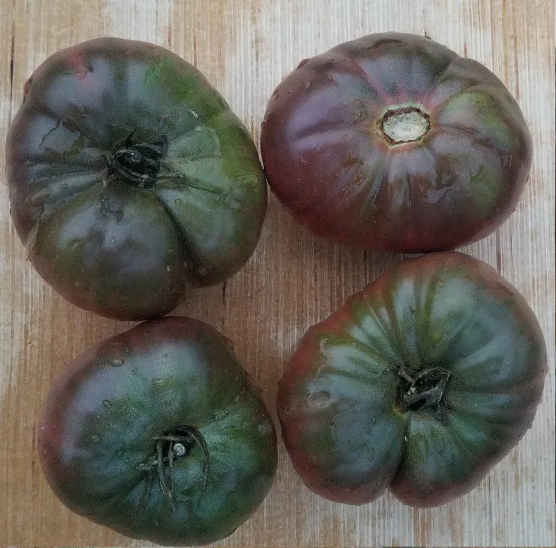 Tomate Black Seaman - Bio ( Solanum lycopersicum ‘Black Seaman’)