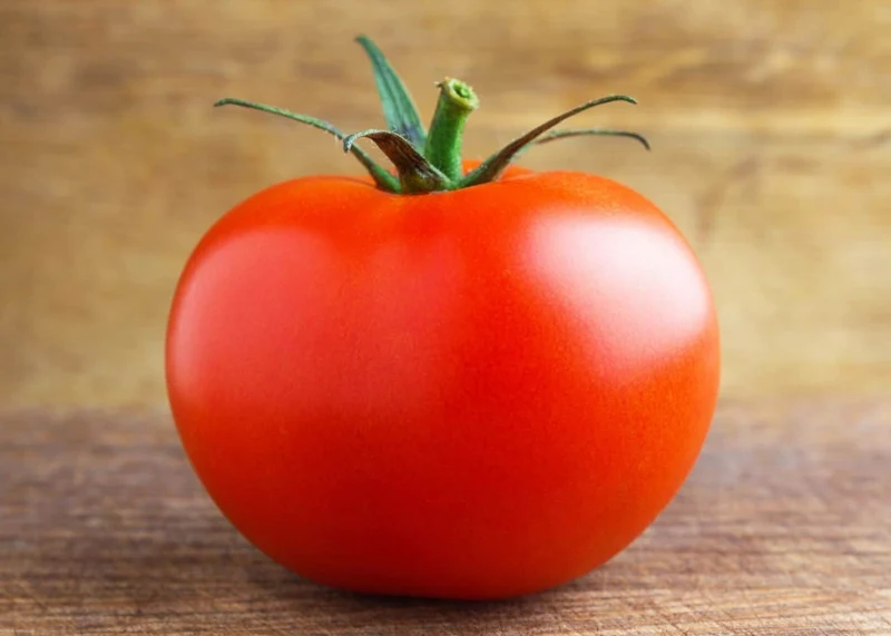 Celebrity Tomato Seeds – High-Yield, Disease-Resistant Hybrid for Juicy, Flavorful Harvests