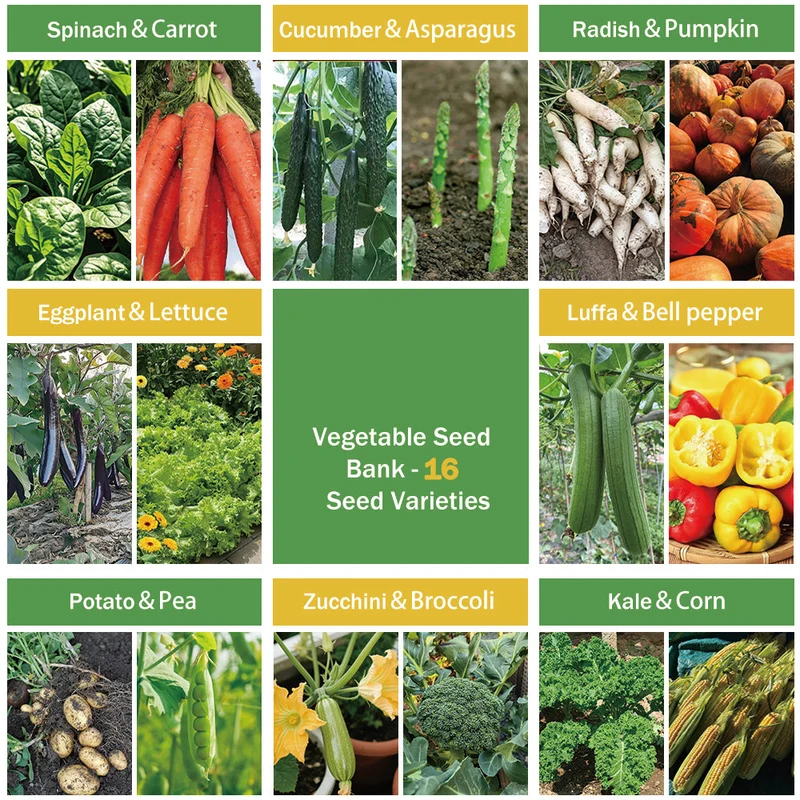 All-in-One Vegetable Seed Bank - 16 Seed Varieties