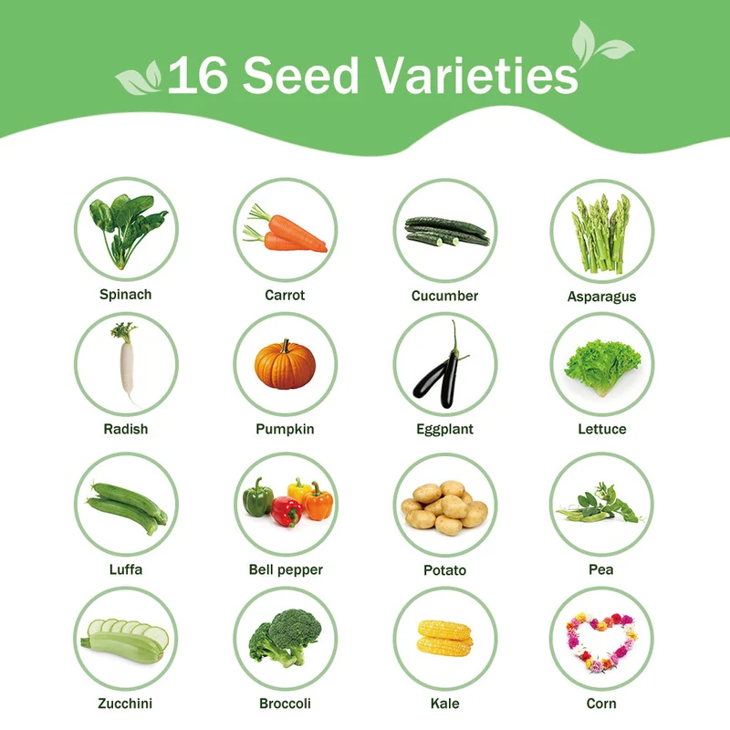 All-in-One Vegetable Seed Bank - 16 Seed Varieties