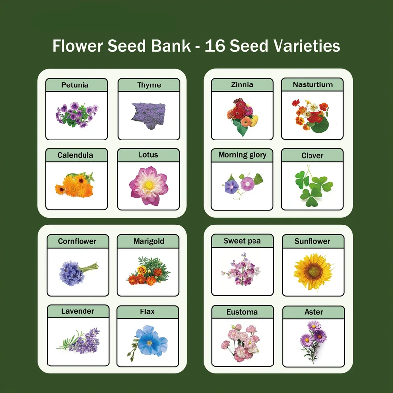 All-in-One Flower Seed Bank - 16 Seed Varieties