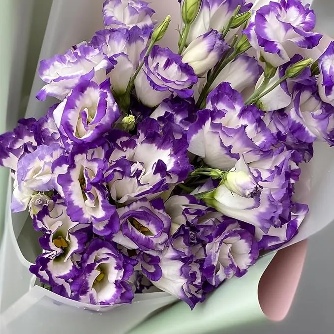 Purple White Lisianthus Seeds – Premium Garden Flower Variety
