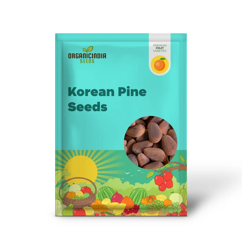 Korean Pine (Pinus koraiensis) – Seeds