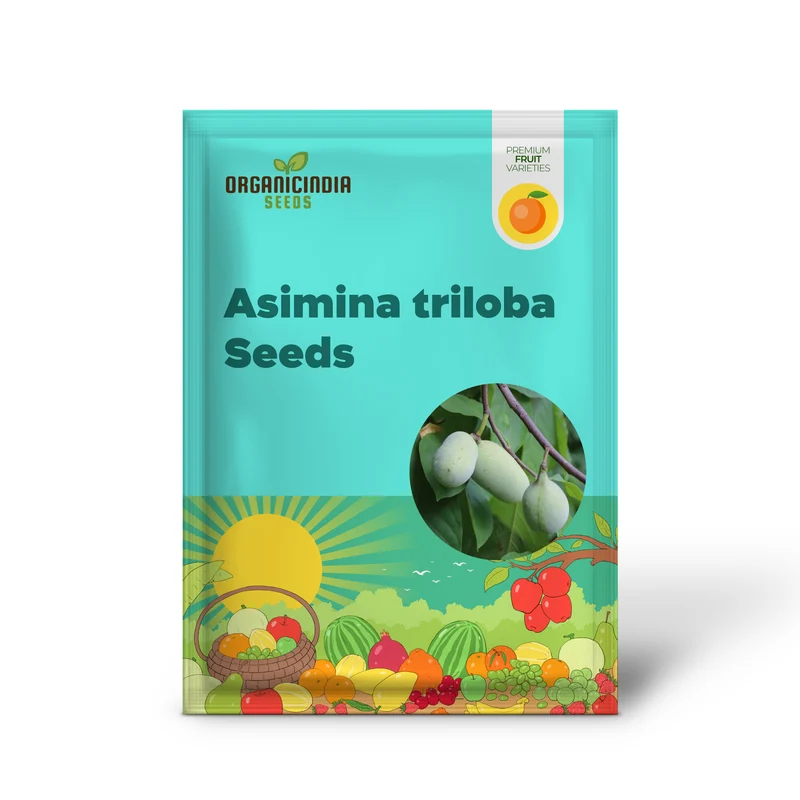 Cultivated/Improved Pawpaw (Asimina triloba) – Seeds