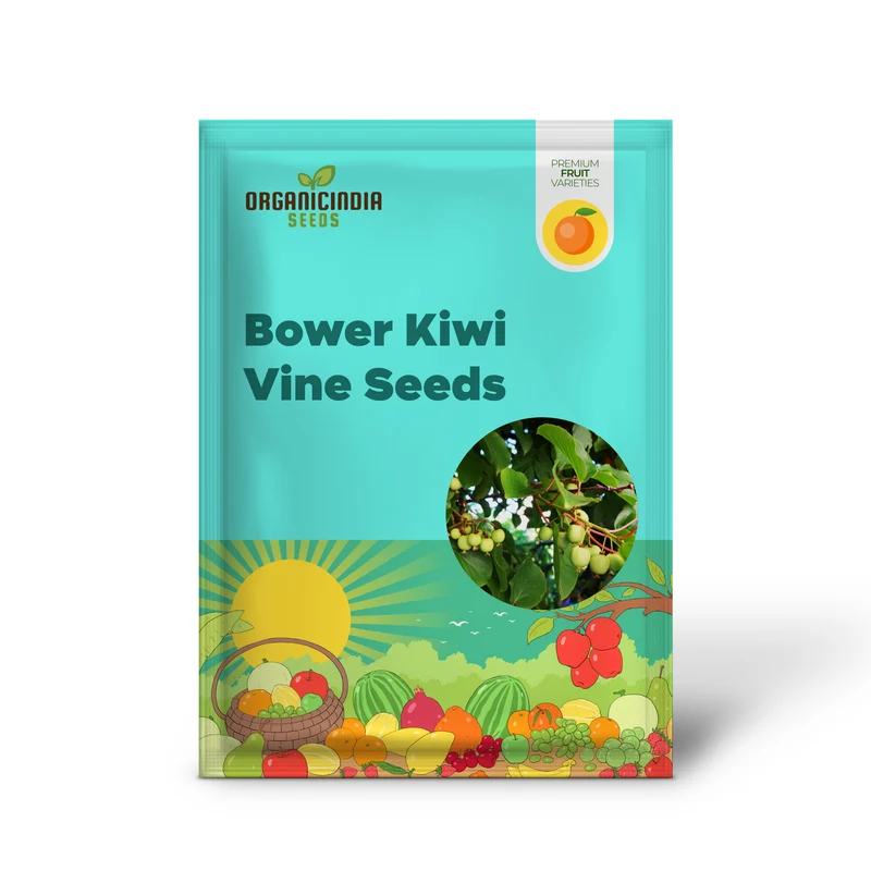 Bower Kiwi Vine (Actinidia arguta) – Seeds