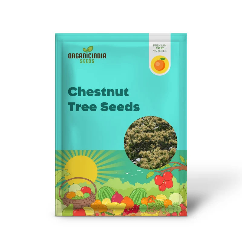 American Chestnut Tree (Castanea dentata) – Seeds