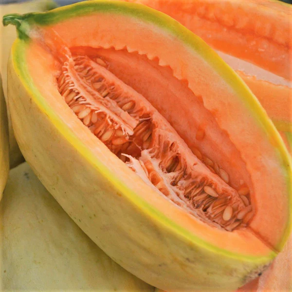 Banana Cantaloupe Melon (Cucumis melo) – Fruit Seeds
