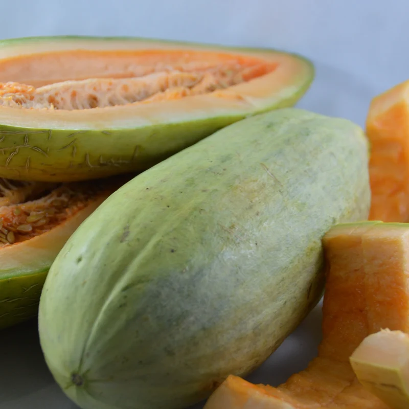 Banana Melon (Cucumis melo) – Fruit Seeds