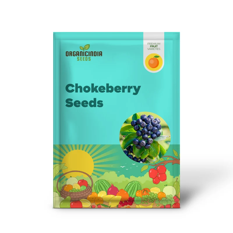 Purple Chokeberry (Aronia prunifolia) – Fruit Shrub Seeds with White Flowers