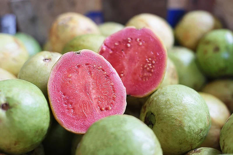 Tropical Pink Guava Seeds, Sweet & Juicy Fruit for Planting