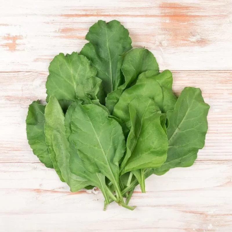 Emperor Spinach Seeds - Heirloom, Nutritious & High Yielding Variety