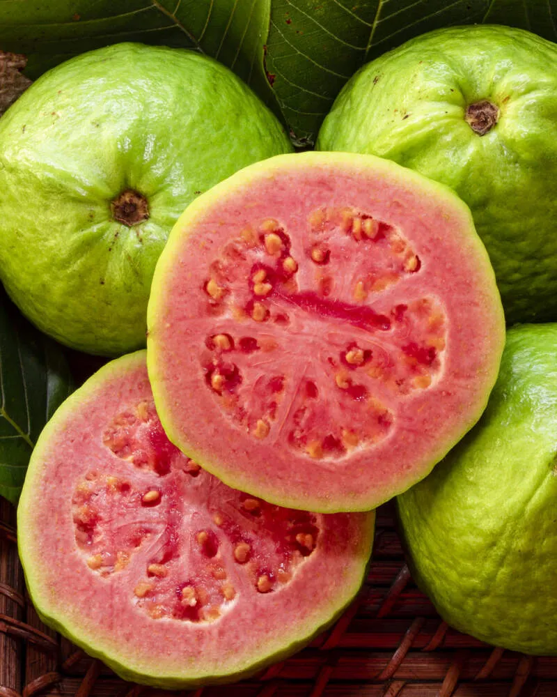 Ruby-X Guava Seeds – Sweet & Juicy Red-Fleshed Tropical Fruit for Planting