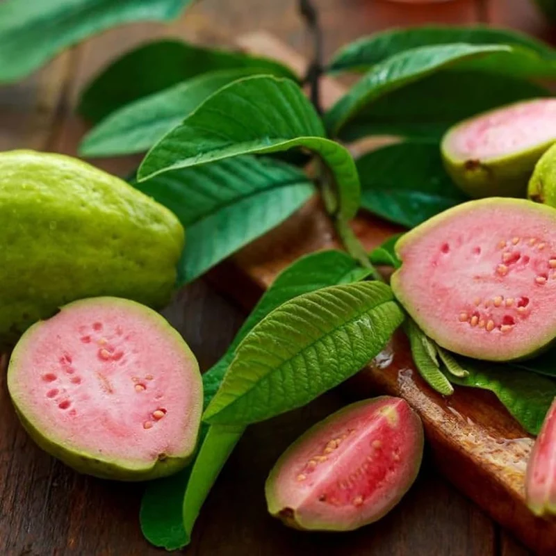 Vietnamese Pink Guava Seeds – Sweet & Aromatic Tropical Fruit for Planting
