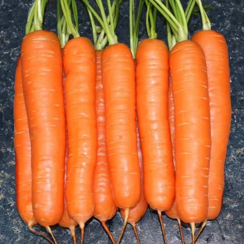 Yaya Carrot Seeds – Premium Quality, Sweet & Crisp Hybrid Carrots