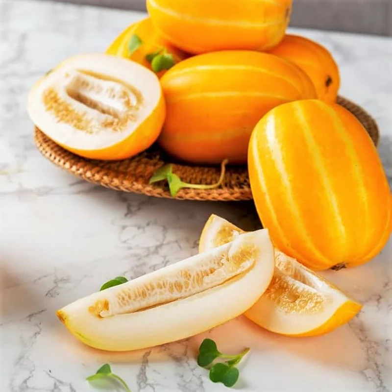 Early Silver Line Melon (Cucumis melo) – Yellow Striped Skin White Flesh Korean Fruit Seeds