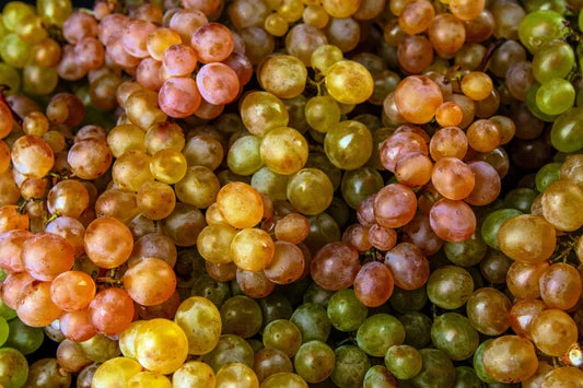 Wine Grape (Vitis vinifera) – Domestic Mixed Colors Fruit Vine Seeds
