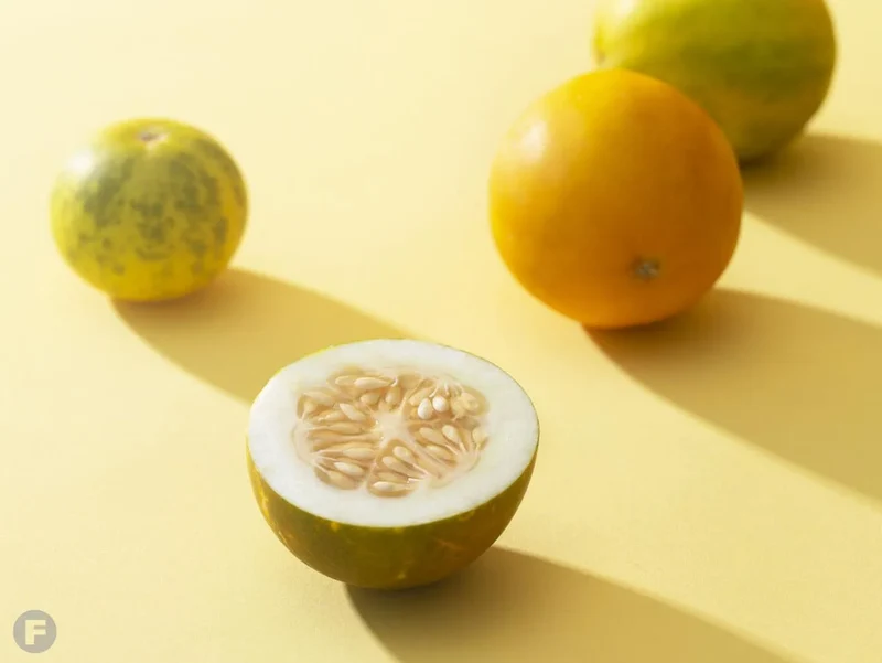 Kolkhoznitsa Melon (Cucumis Melo) – Russian Fruit Seeds