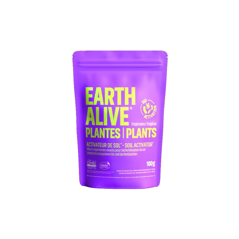 Earth Alive Plantes d’intérieur