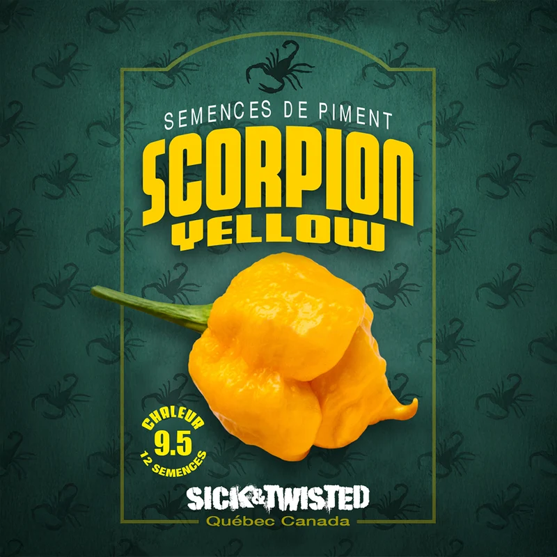 Piment fort ‘Scorpion Jaune’ ( Capsicum chinense )