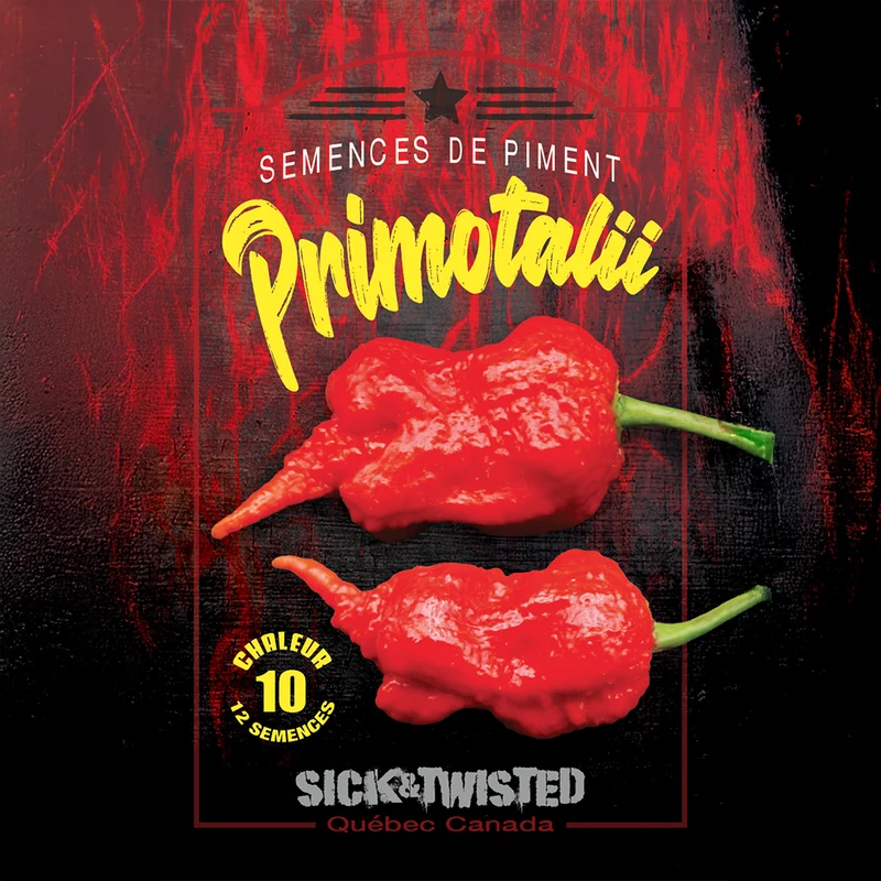 Piment fort ‘Primotalii’ ( Capsicum chinense )