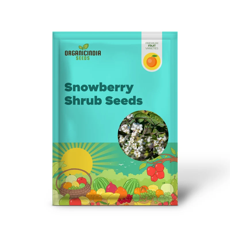 Common Snowberry Seeds – Symphoricarpos albus Deciduous Shrub with White Berries