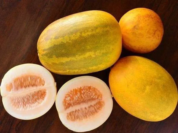Lemon Cucumber Seeds