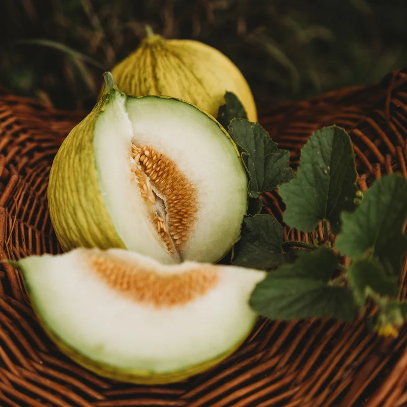 Golden Beauty Casaba Melon Seeds
