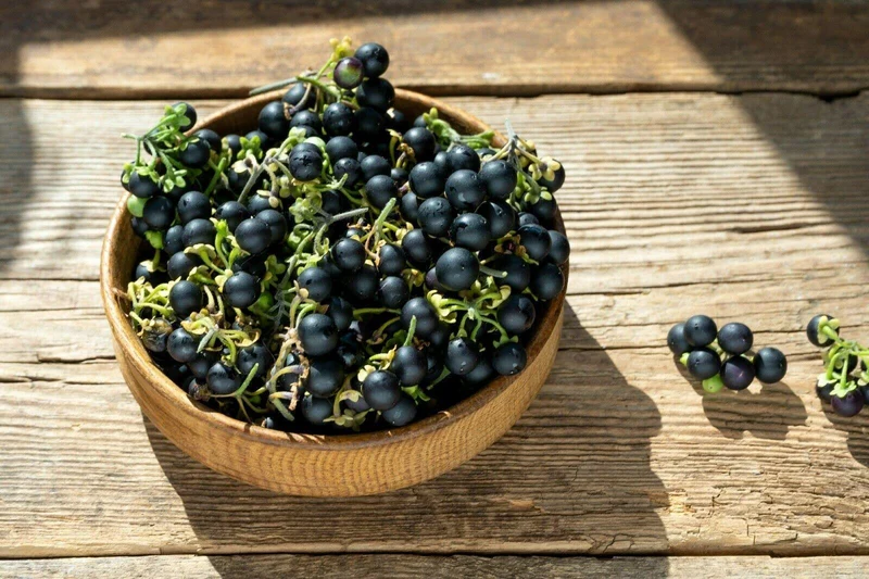 Wonderberry Sunberry Fruit Shrub Seeds
