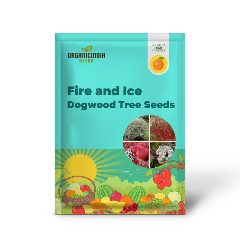 Fire and Ice Dogwood Tree Seeds