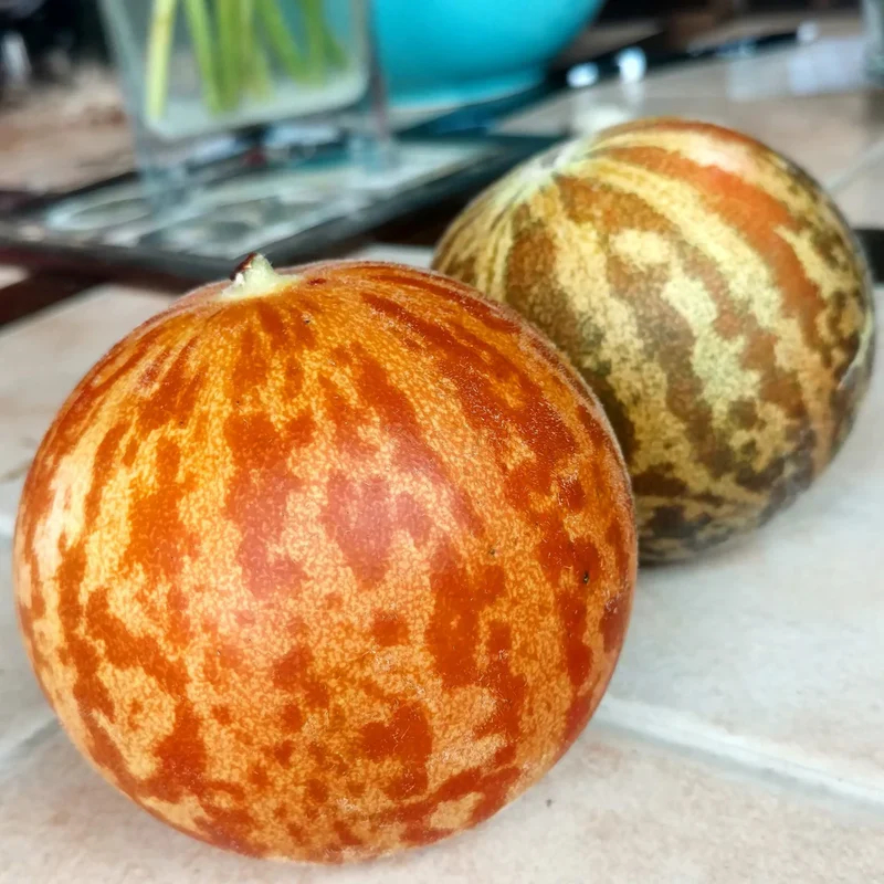 Tigger Tiger Melon Seeds