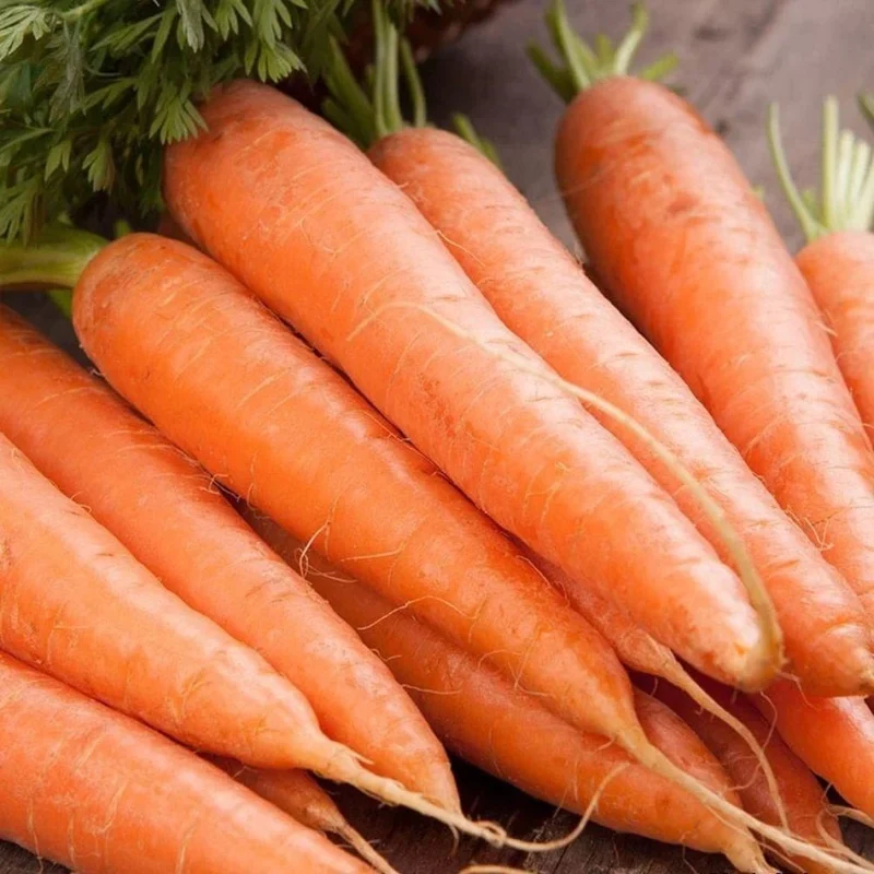 Scarlet Nantes Carrot Seeds – Heirloom, Sweet & Crisp - Grow Your Own Carrots