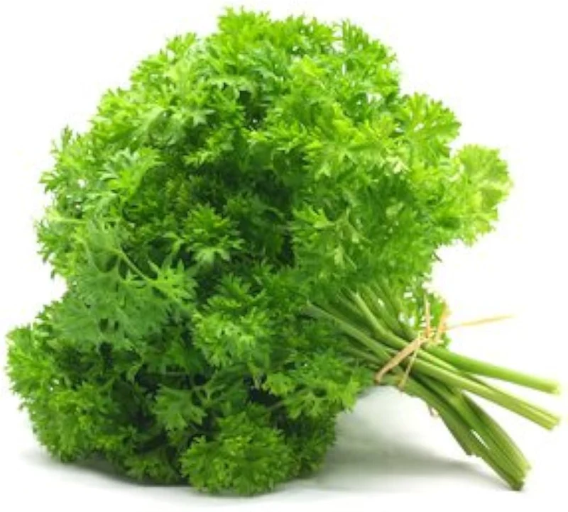 Flat Leaf Parsley Seeds – Premium Organic, Non-GMO Herb for Culinary & Garden Use