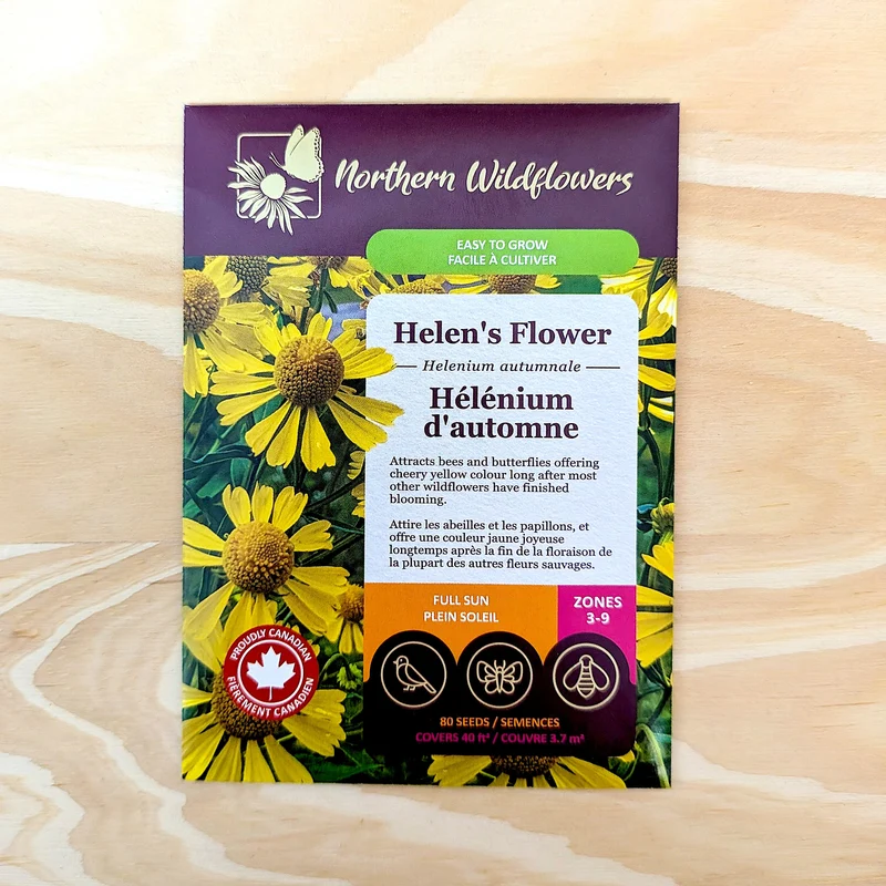 Hélénie automnale ( Helenium autumnale )