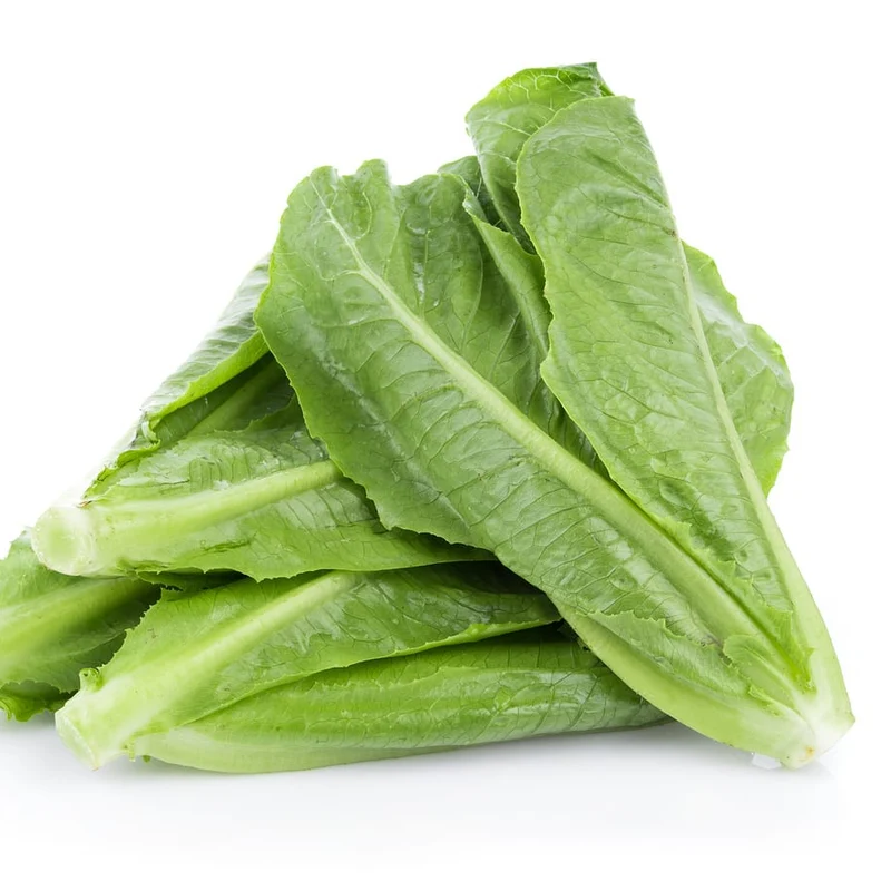 Paris Island Cos Lettuce Seeds – Heirloom, Crisp & Nutritious Variety for Your Garden